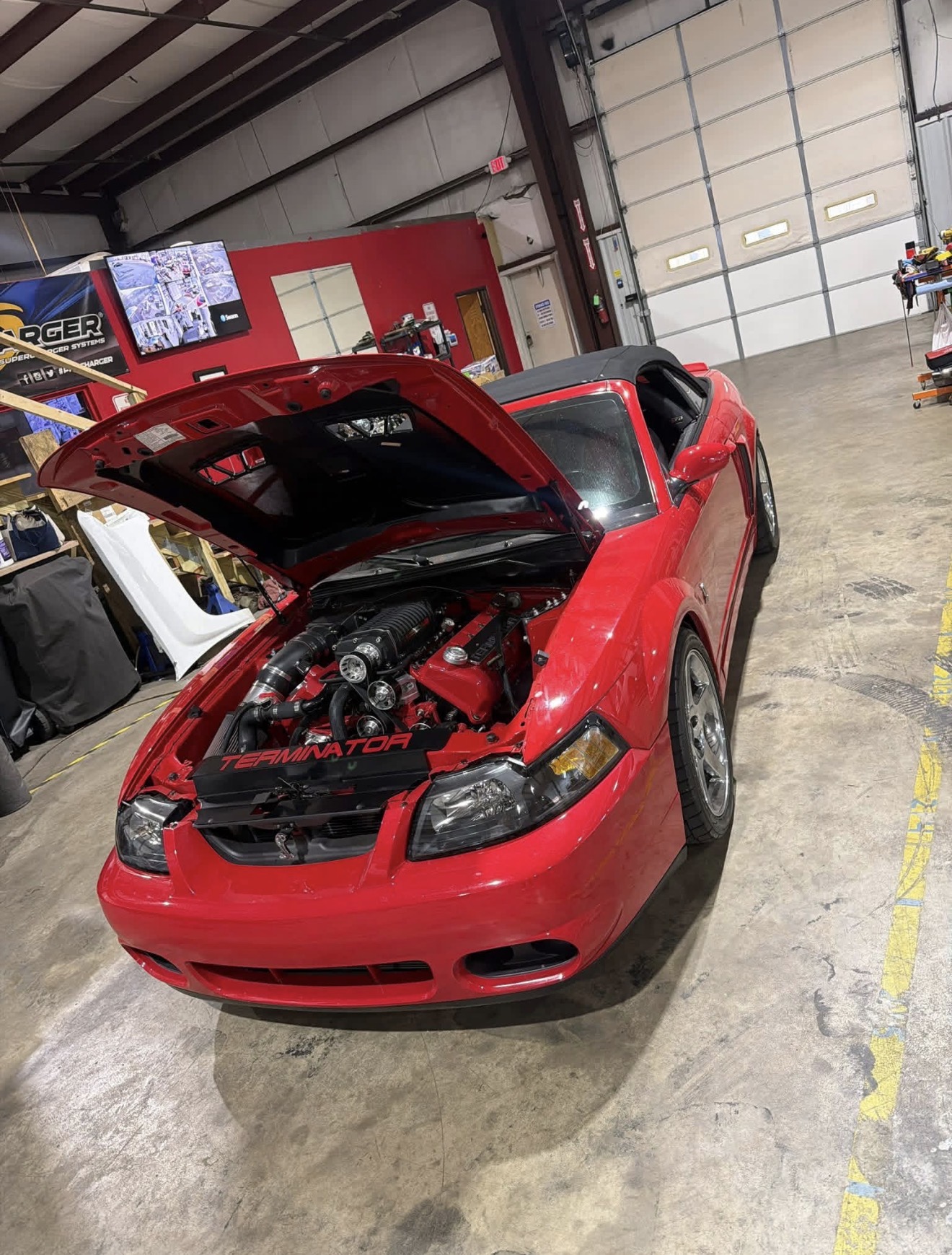 Red Ford Mustang SVT Cobra Terminator with supercharged engine exposed